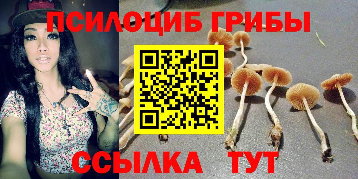 Псилоцибиновые грибы Magic Shrooms Клин