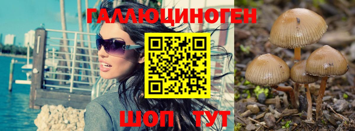 Псилоцибиновые грибы Psilocybine cubensis  Вход с VPN  Клин 